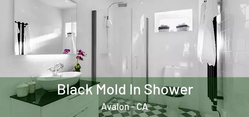 Black Mold In Shower Avalon - CA