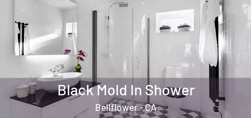  Black Mold In Shower Bellflower - CA