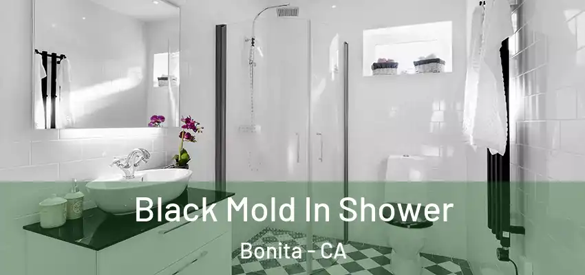  Black Mold In Shower Bonita - CA
