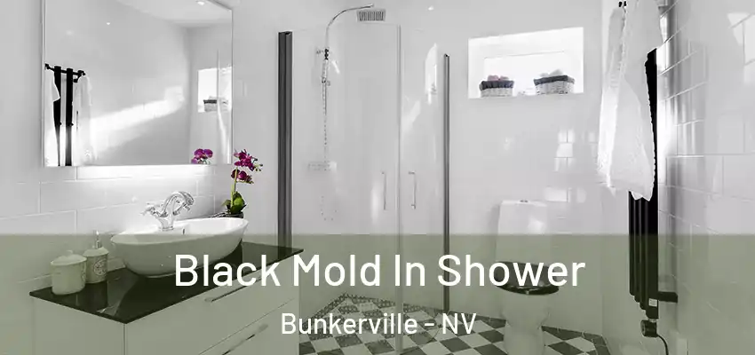 Black Mold In Shower Bunkerville - NV