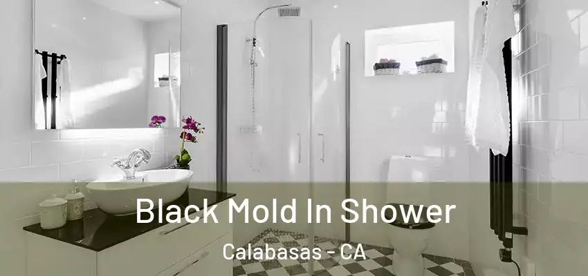  Black Mold In Shower Calabasas - CA