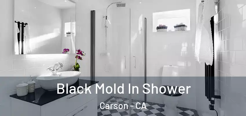  Black Mold In Shower Carson - CA