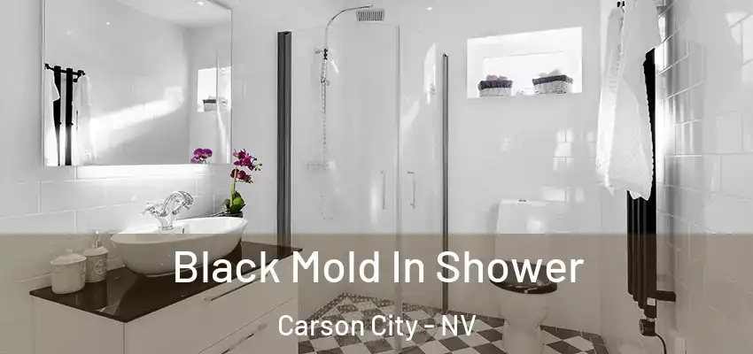  Black Mold In Shower Carson City - NV