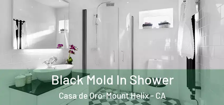  Black Mold In Shower Casa de Oro-Mount Helix - CA