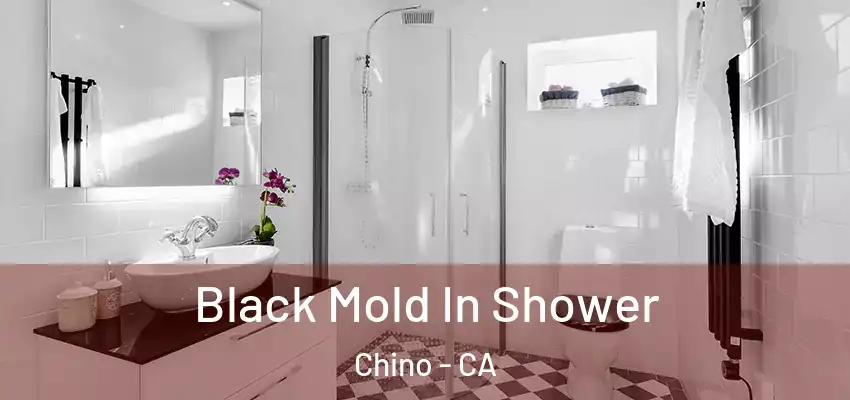 Black Mold In Shower Chino - CA