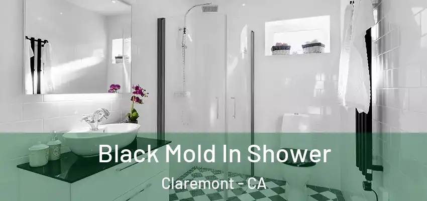  Black Mold In Shower Claremont - CA
