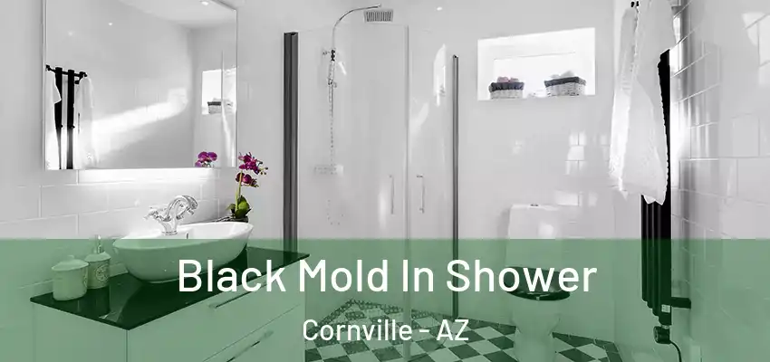  Black Mold In Shower Cornville - AZ
