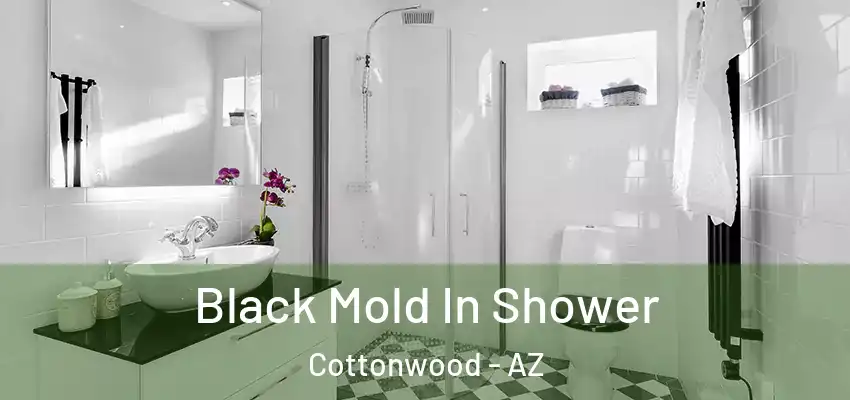  Black Mold In Shower Cottonwood - AZ