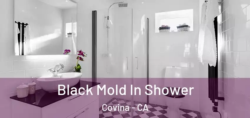  Black Mold In Shower Covina - CA