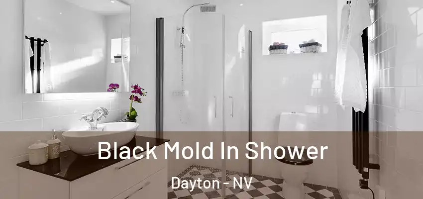  Black Mold In Shower Dayton - NV