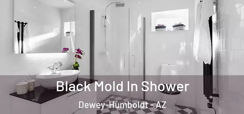  Black Mold In Shower Dewey-Humboldt - AZ