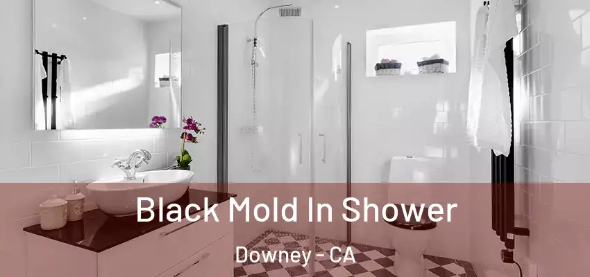  Black Mold In Shower Downey - CA