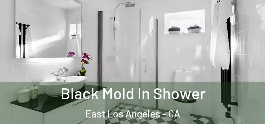  Black Mold In Shower East Los Angeles - CA