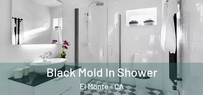  Black Mold In Shower El Monte - CA