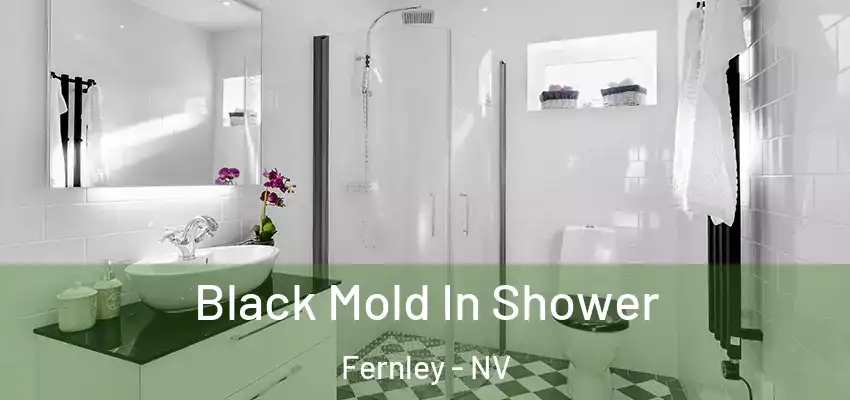  Black Mold In Shower Fernley - NV