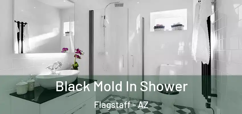  Black Mold In Shower Flagstaff - AZ