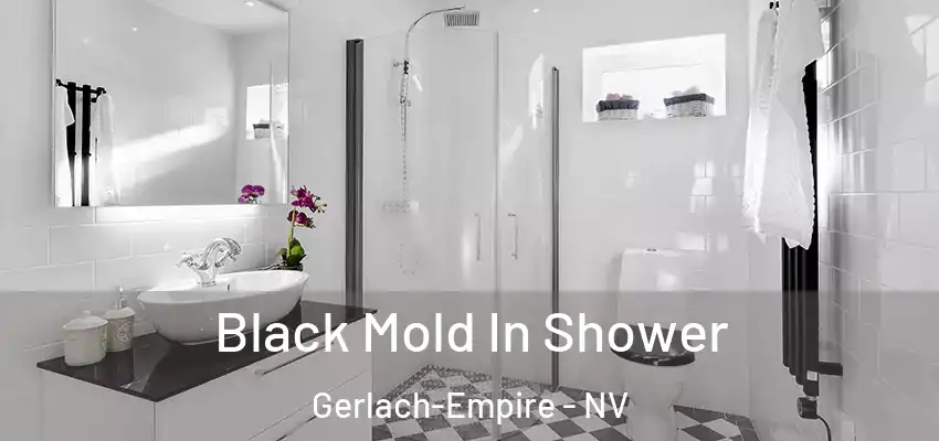  Black Mold In Shower Gerlach-Empire - NV
