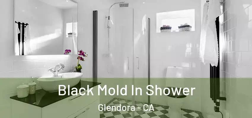  Black Mold In Shower Glendora - CA