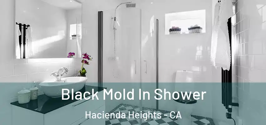  Black Mold In Shower Hacienda Heights - CA