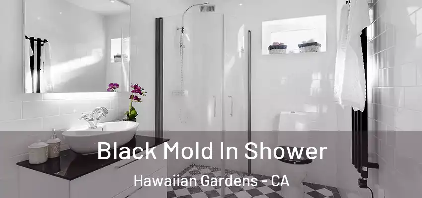  Black Mold In Shower Hawaiian Gardens - CA
