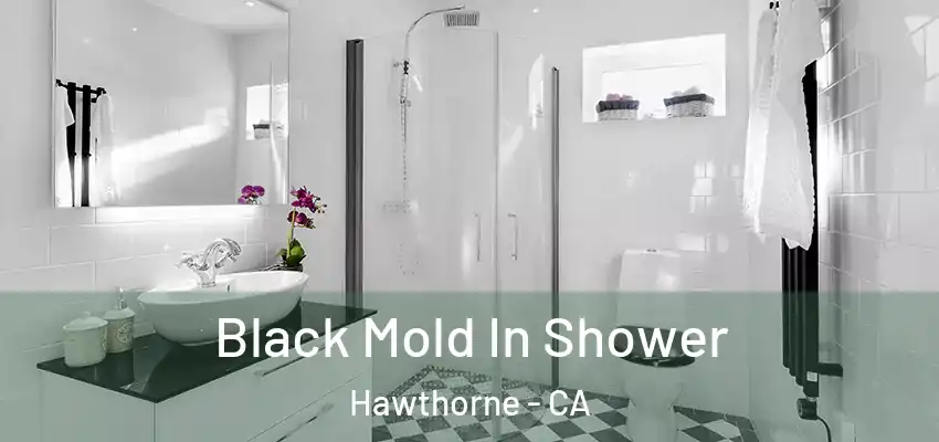  Black Mold In Shower Hawthorne - CA