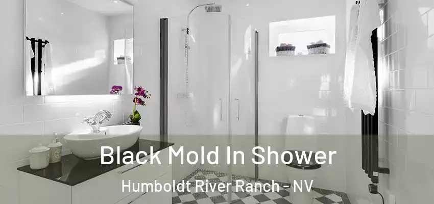  Black Mold In Shower Humboldt River Ranch - NV