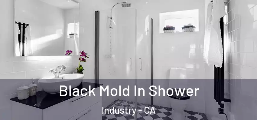  Black Mold In Shower Industry - CA