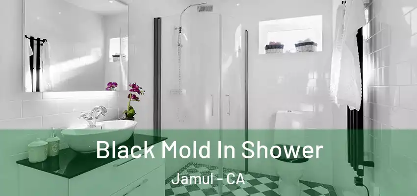  Black Mold In Shower Jamul - CA