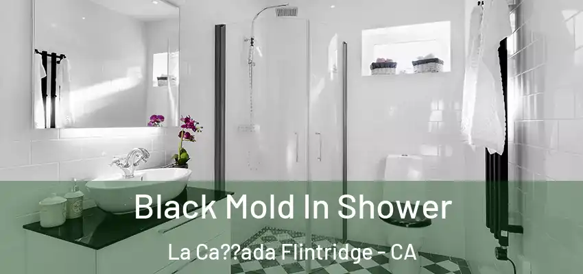  Black Mold In Shower La Ca??ada Flintridge - CA
