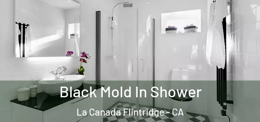  Black Mold In Shower La Canada Flintridge - CA