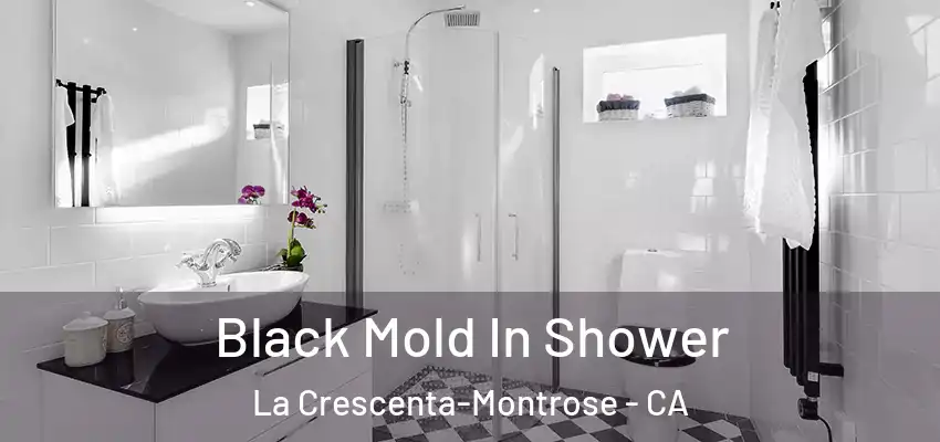  Black Mold In Shower La Crescenta-Montrose - CA