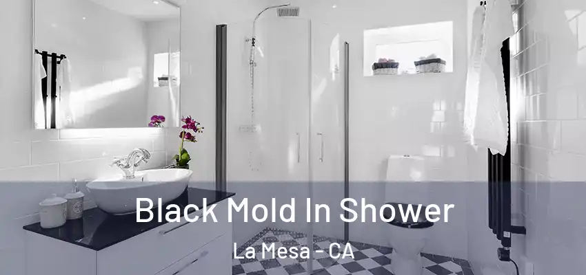  Black Mold In Shower La Mesa - CA
