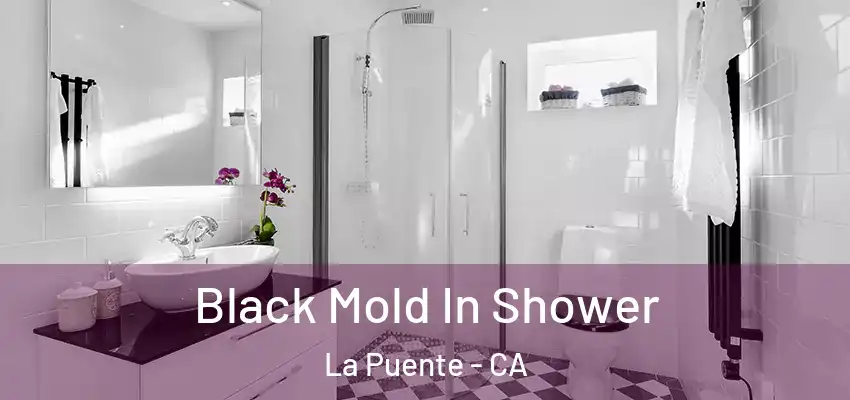  Black Mold In Shower La Puente - CA