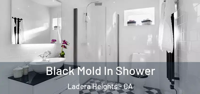  Black Mold In Shower Ladera Heights - CA