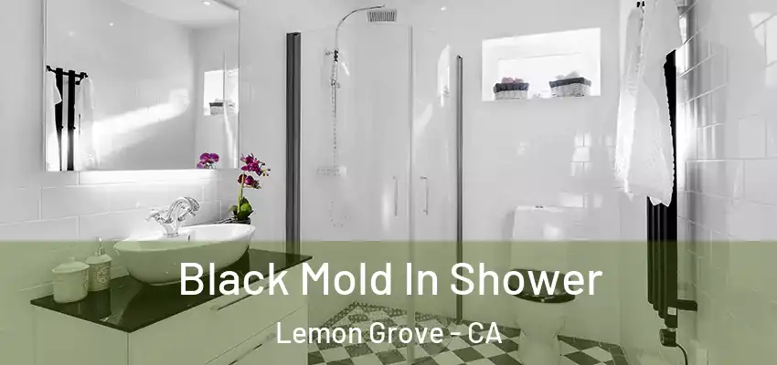  Black Mold In Shower Lemon Grove - CA
