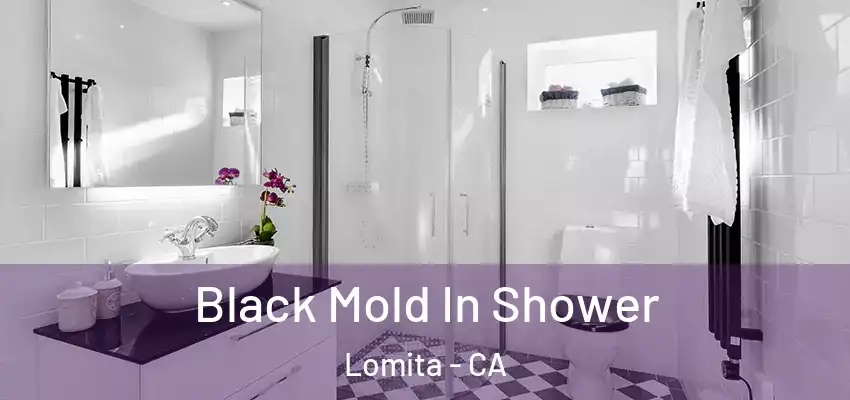  Black Mold In Shower Lomita - CA