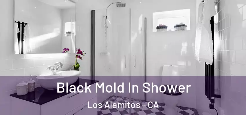  Black Mold In Shower Los Alamitos - CA