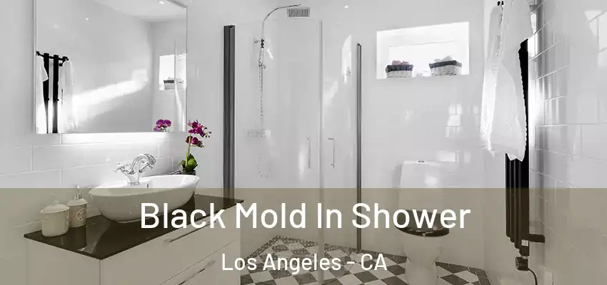  Black Mold In Shower Los Angeles - CA