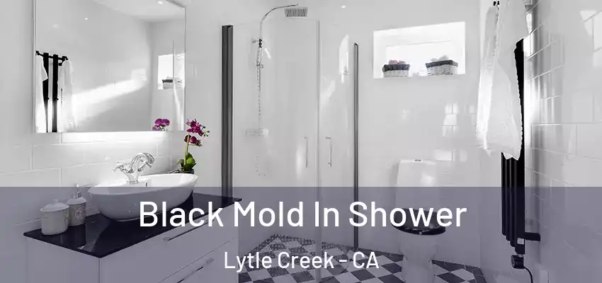 Black Mold In Shower Lytle Creek - CA