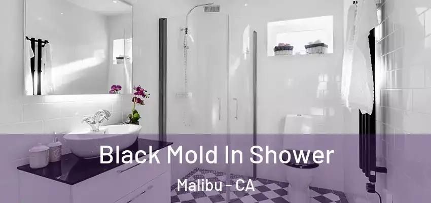  Black Mold In Shower Malibu - CA