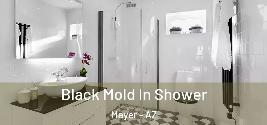  Black Mold In Shower Mayer - AZ