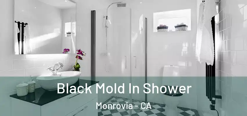  Black Mold In Shower Monrovia - CA