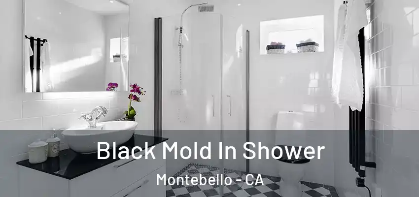 Black Mold In Shower Montebello - CA