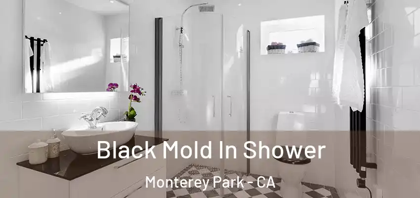 Black Mold In Shower Monterey Park - CA