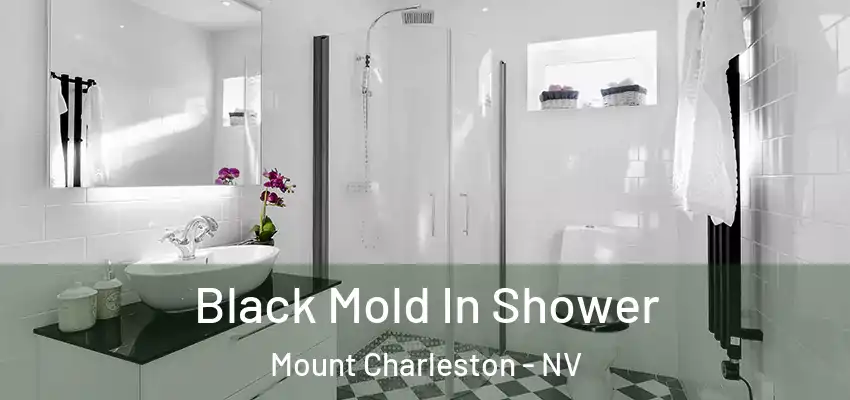  Black Mold In Shower Mount Charleston - NV