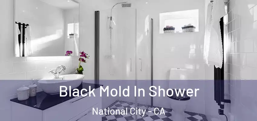  Black Mold In Shower National City - CA