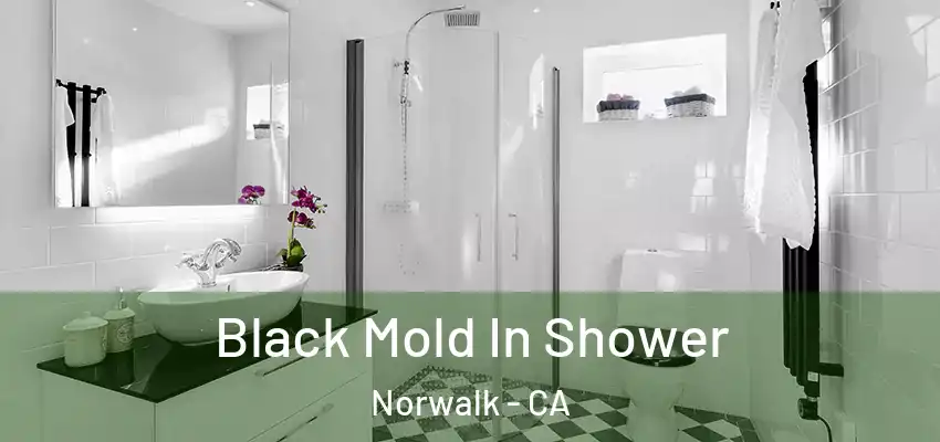 Black Mold In Shower Norwalk - CA