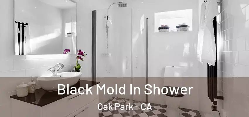  Black Mold In Shower Oak Park - CA
