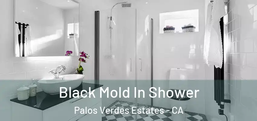  Black Mold In Shower Palos Verdes Estates - CA