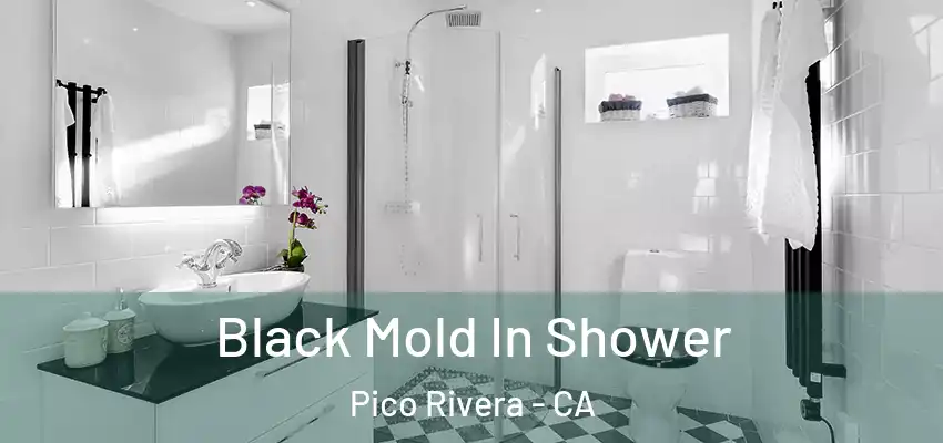 Black Mold In Shower Pico Rivera - CA